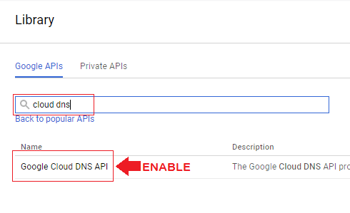 search for cloud dns and then enable the cloud dns api on the next page