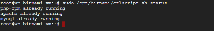 linux commands with examples check apache server status bitnami