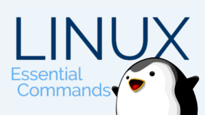 linux commands with examples