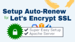 setup lets encrypt auto renew