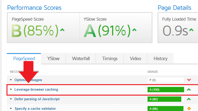 check for leverage browser caching